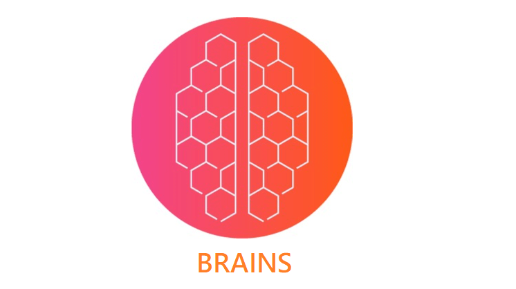 عملة BRAINS الرقمية