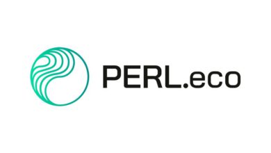 عملة PERL الرقمية