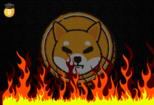 shib burn