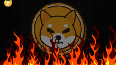 shib burn