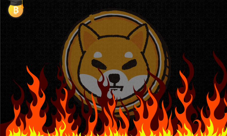 shib burn