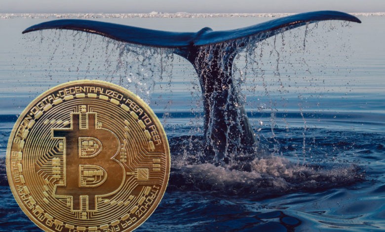 btc whale