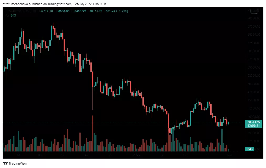 bitcoin chart