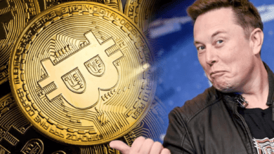 elon musk bitcoin