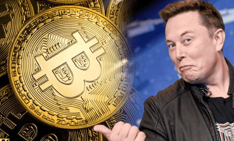 elon musk bitcoin