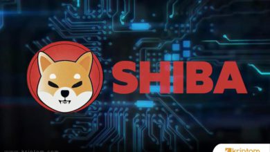 shiba inu shib nedir iste tum detaylariyla kripto para birimi shib coin