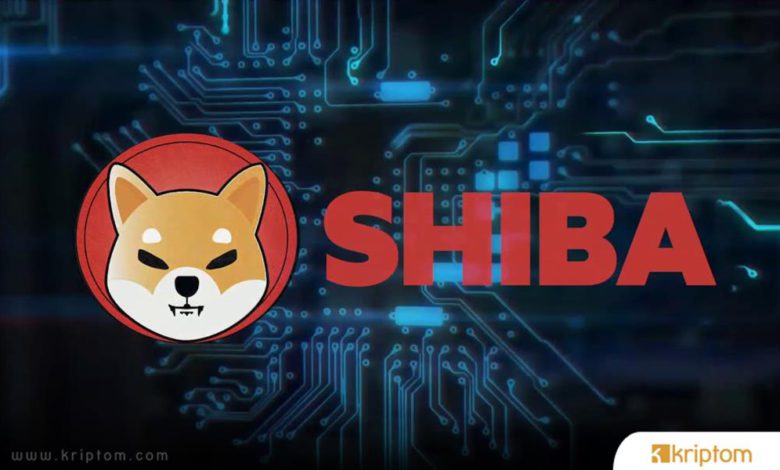 shiba inu shib nedir iste tum detaylariyla kripto para birimi shib coin