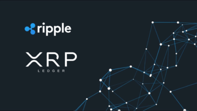 xrp ledger