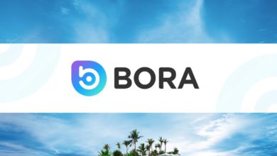 عملة BORA الرقمية