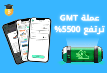 عملة GMT الرقمية ترتفع 5500% منذ إدراجها على بينانس