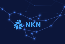 عملة NKN