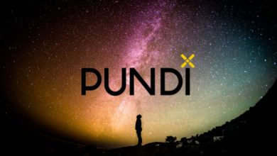 عملة PUNDIX الرقمية