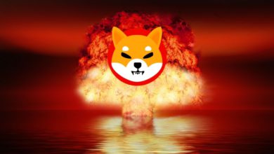 SHIB cryptocurrency BURN