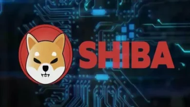 shiba 3