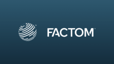 عملة FCT الرقمية