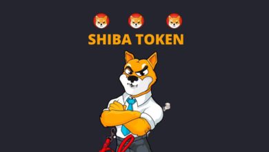 SHIBA 3