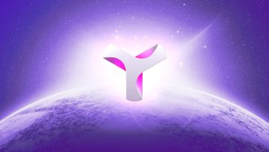 عملة XYM الرقمية
