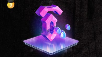 عملة 10SET تتغلب على جميع العملات وترتفع بنسبة 1000%