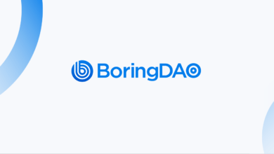 عملة BORING الرقمية