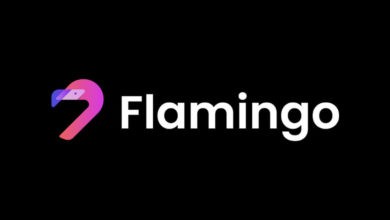 عملة FLM الرقمية
