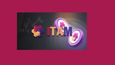 عملة ITAMCUBE الرقمية