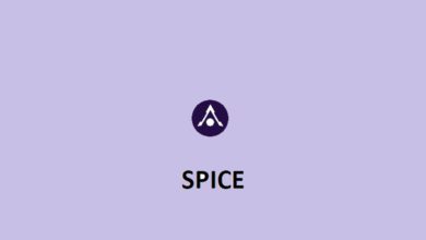 عملة SPICE الرقمية