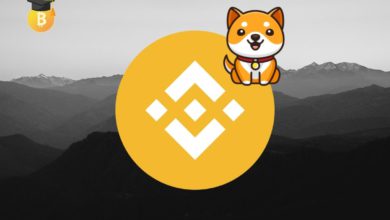 كيفية الحصول على 45000 ألف من عملة شيبا من منصة بينانس؟