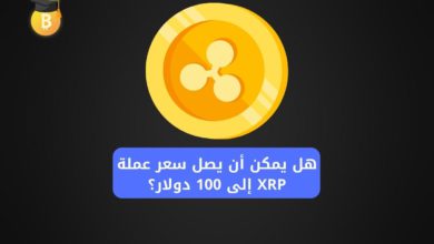 هل يمكن أن يصل سعر عملة XRP إلى 100 دولار؟