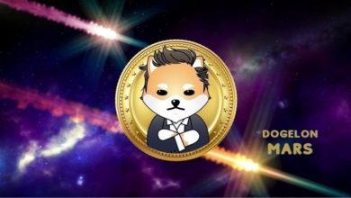 CryptoMode Dogelon Mars ELON