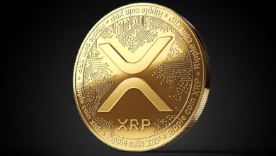 مستقبل عملة الريبل XRP، هل ستستمر بالصعود؟ وعملات أخرى قد تصل إلى 1 دولار أمريكي.