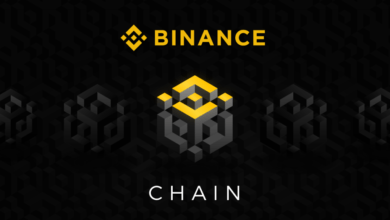 BNB Chain