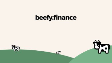 beefy finance