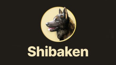 عملة SHIBAKEN الرقمية