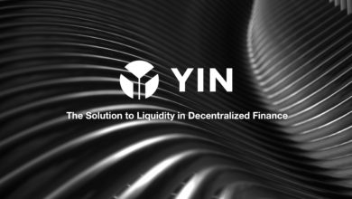 عملة YIN الرقمية