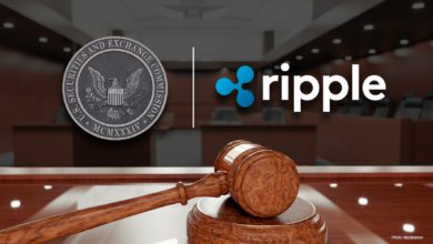 الرئيس التنفيذي لشركة Rippel يدق ناقوس الخطر في حال خسارته أمام SEC