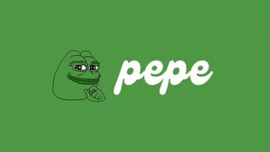 عملة PEPE الرقمية