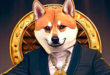 Doge CEO tokin