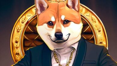 Doge CEO tokin