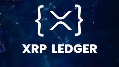 XRP Ledger Foundationما هو دفتر الأستاذ XRP XRPL؟