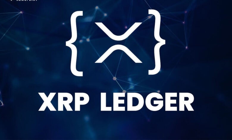 XRP Ledger Foundationما هو دفتر الأستاذ XRP XRPL؟