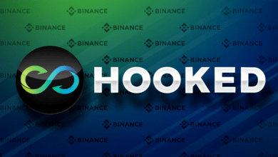 Hooked Protocol HOOK