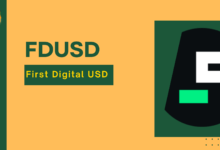 عملة FDUSD الرقمية