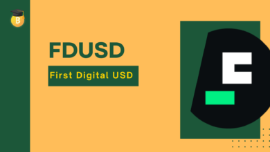 عملة FDUSD الرقمية