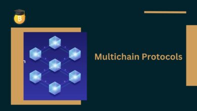 Multichain Protocols