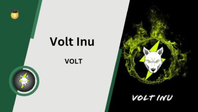 Volt Inu