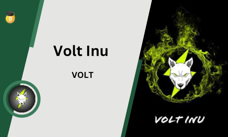 Volt Inu