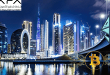 منظم الأصول الافتراضية في دبي
