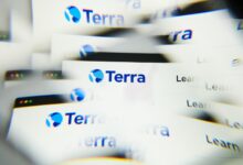 هل تنجح شركة تيرا في الحصول على مطلبها في معركتها ضد لجنة الأوراق المالية والبورصات؟