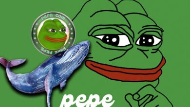 حيتان عملة PEPE