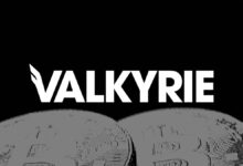 شركة Valkyrie